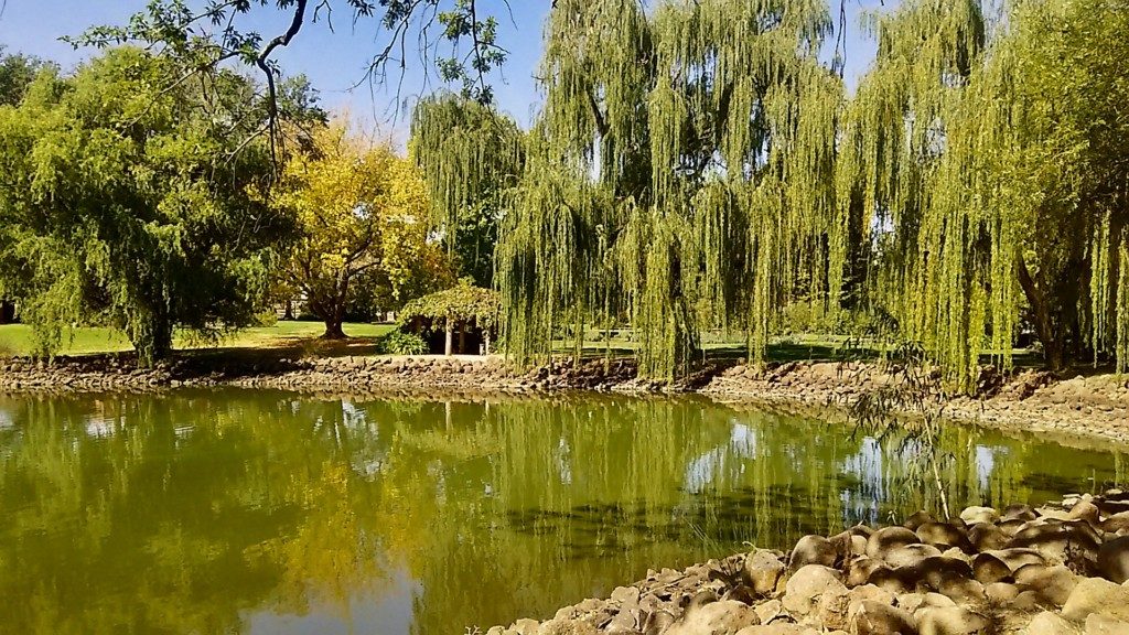 ボタニカル・ガーデン(Castlemaine Botanical Gardens)