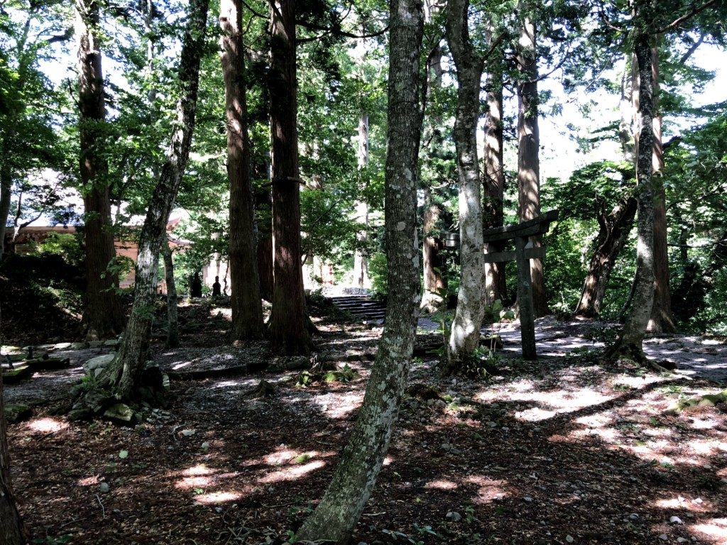 夏山登山道