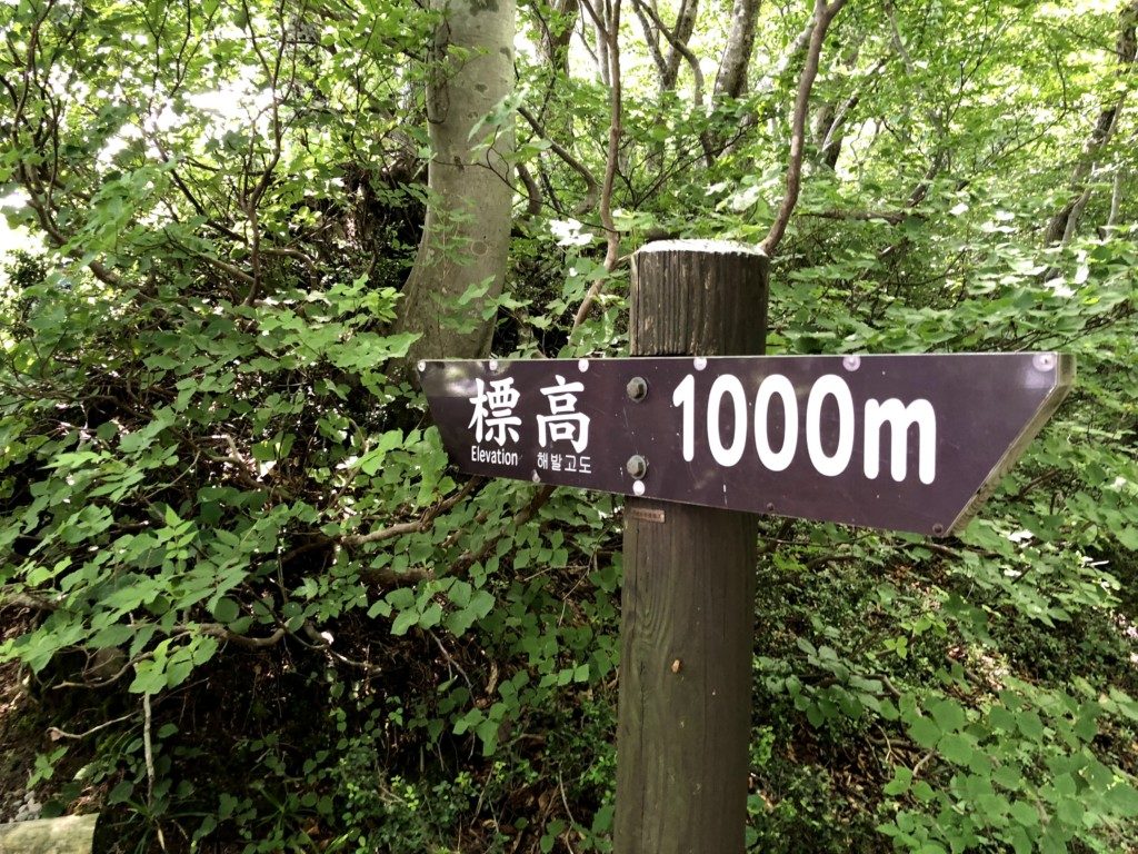 標高1000m