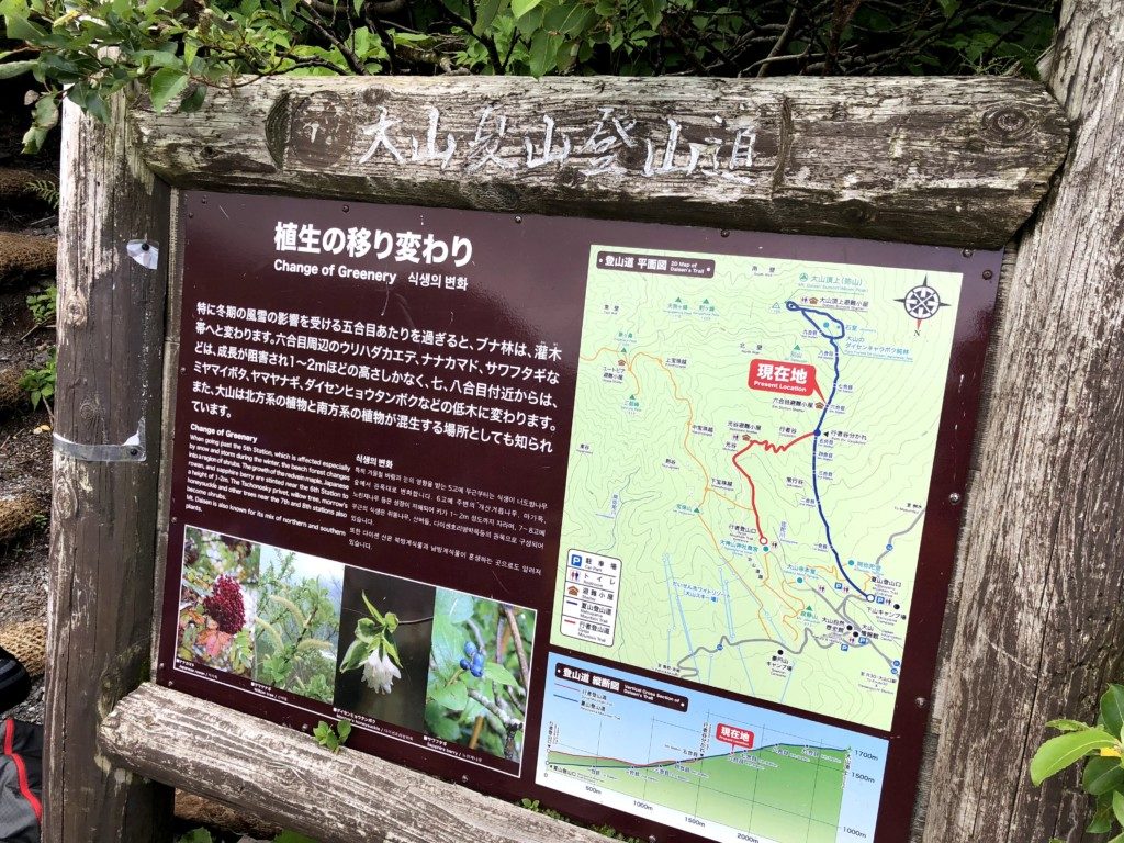 植生の移り変わり