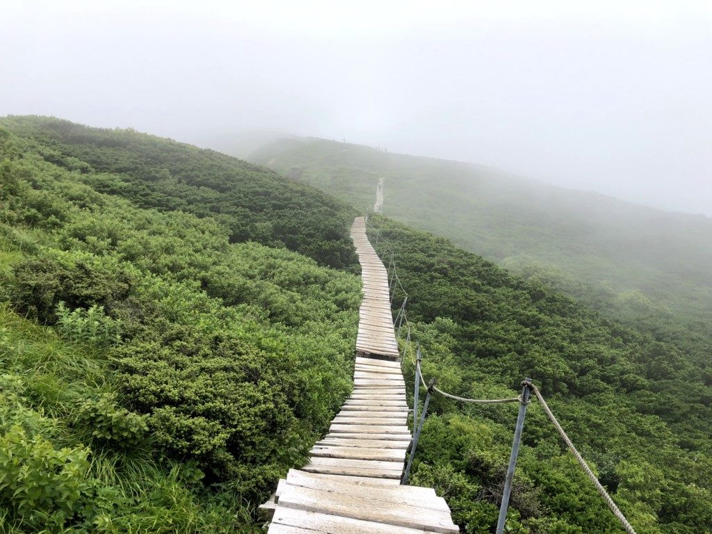 大山頂上まで200m