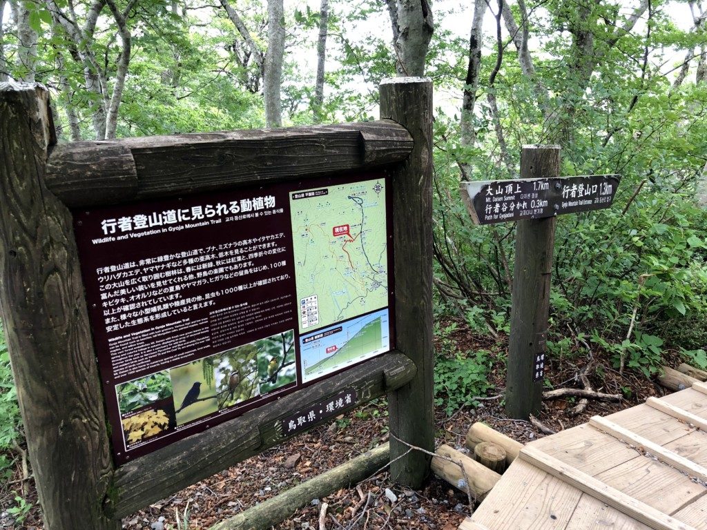 大山の動植物