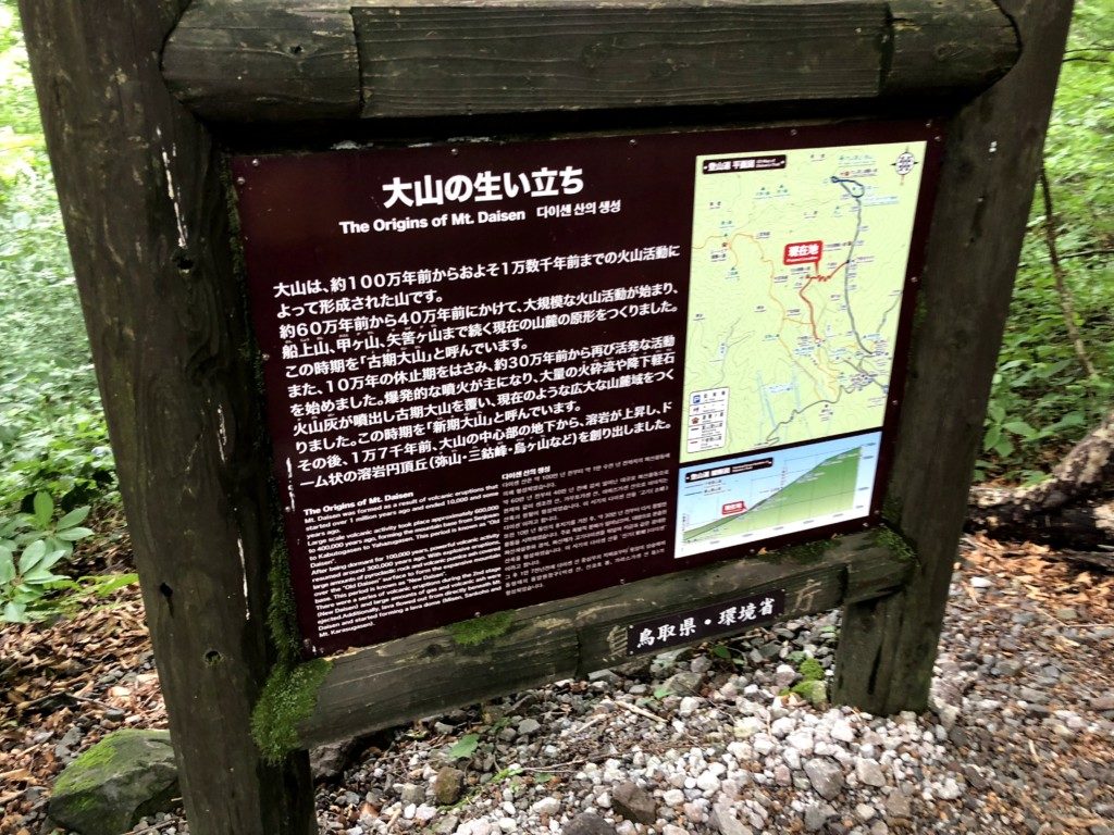 大山の生い立ち