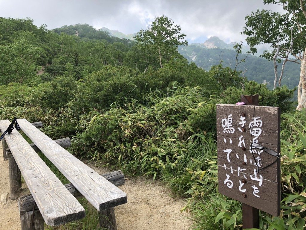 雷鳥は山をきれいにと鳴いている