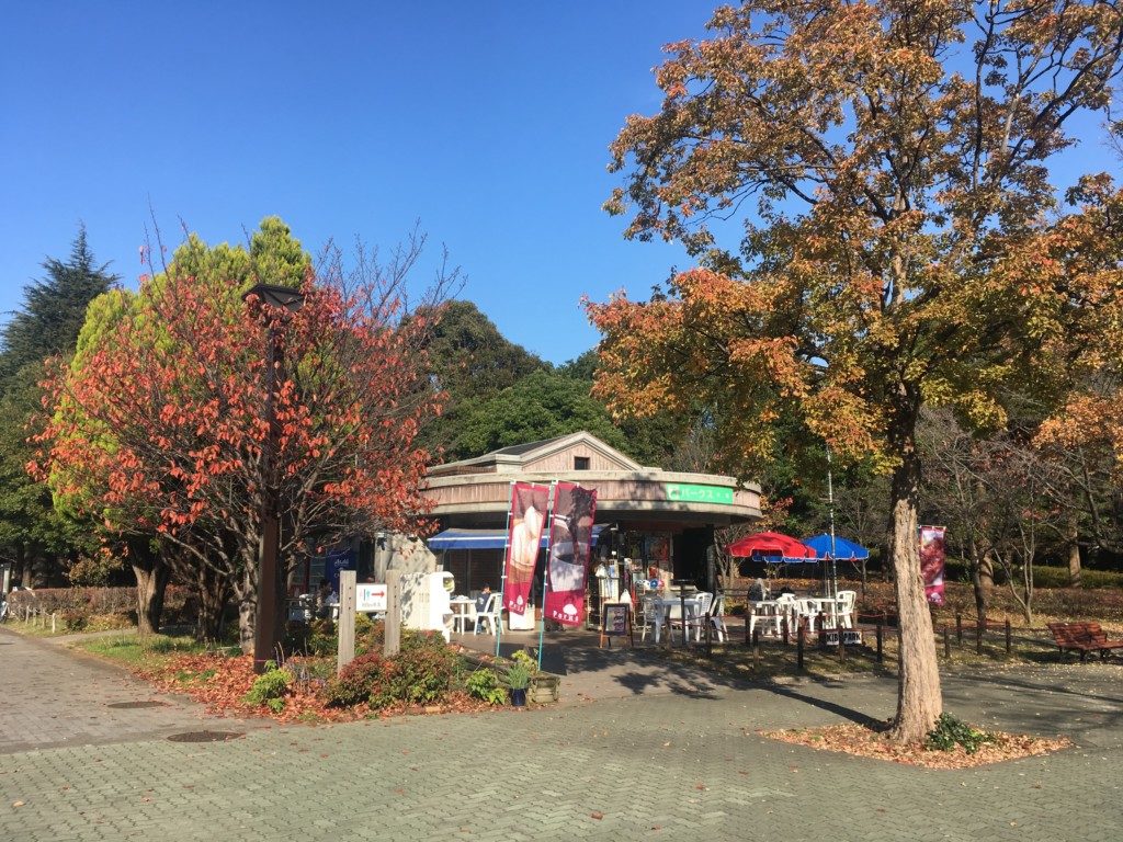 売店