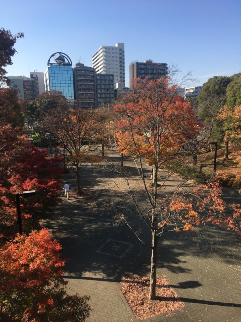 紅葉