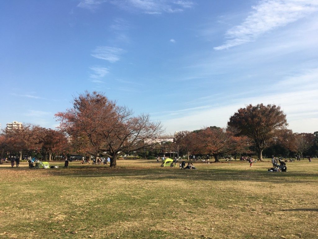 芝生