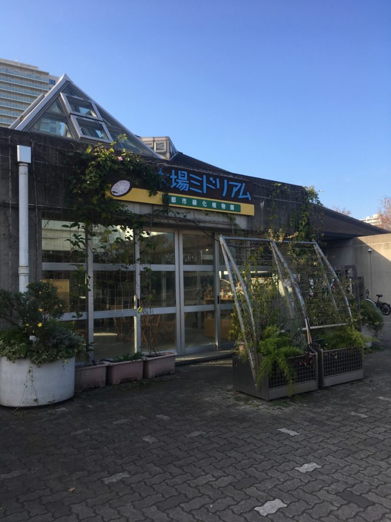 ミドリアム