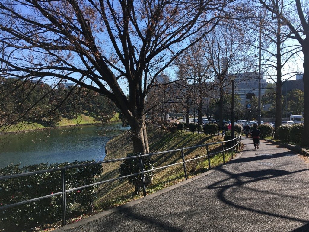 ラン開始