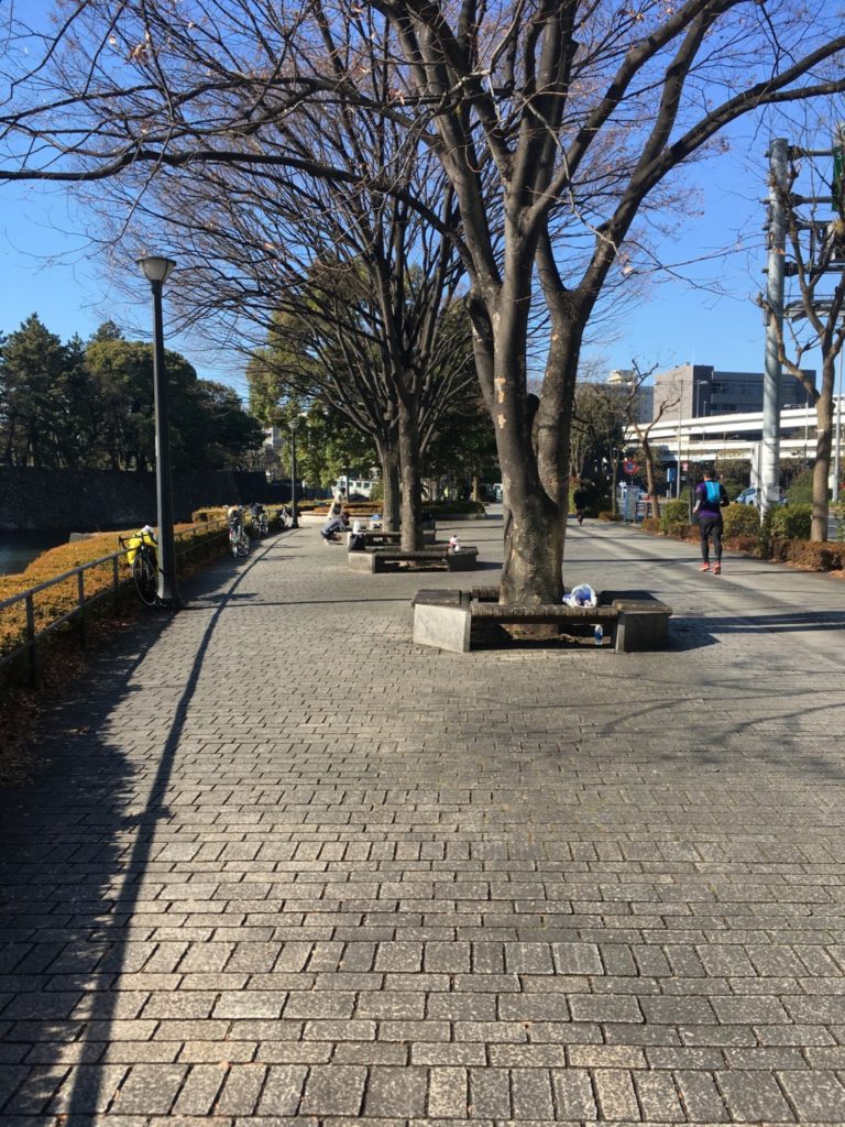 ベンチ
