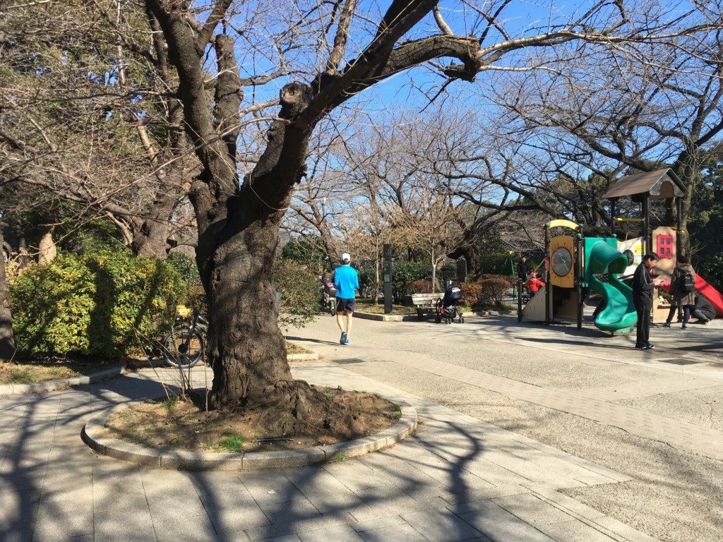 千鳥ヶ淵公園