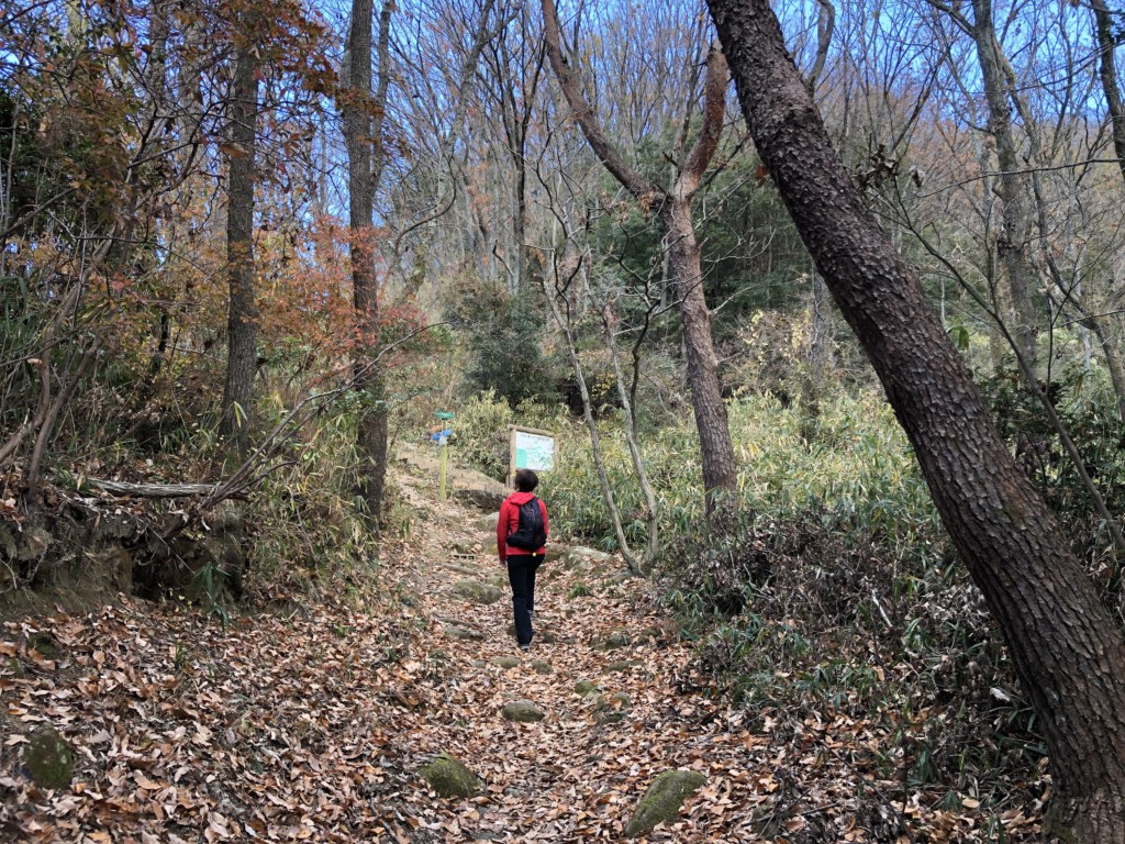 生駒山トレイル