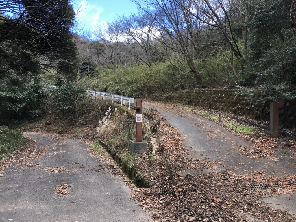 分岐