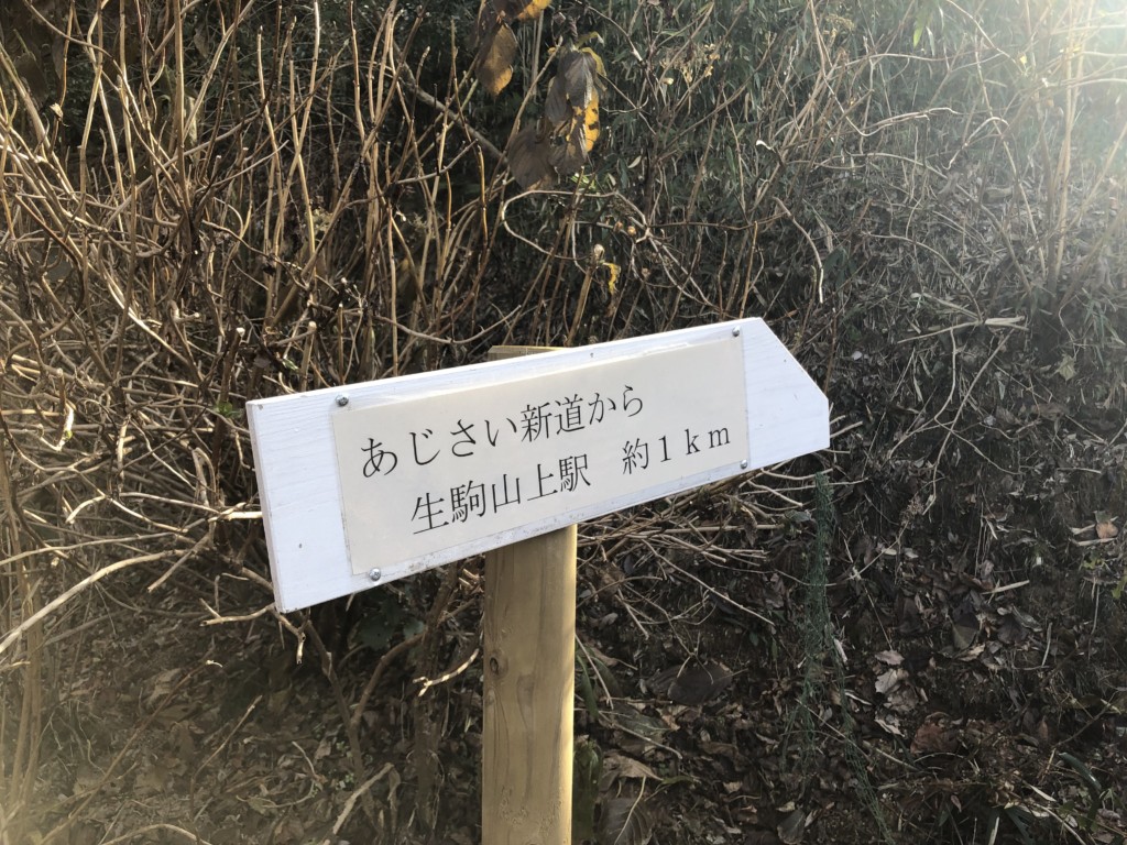 あじさい新道