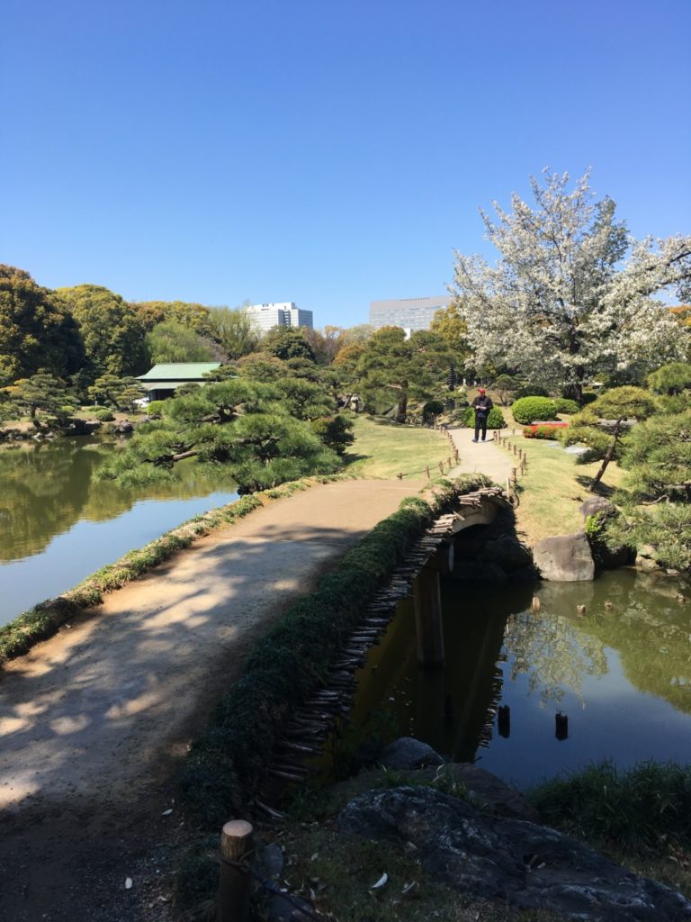 中の島