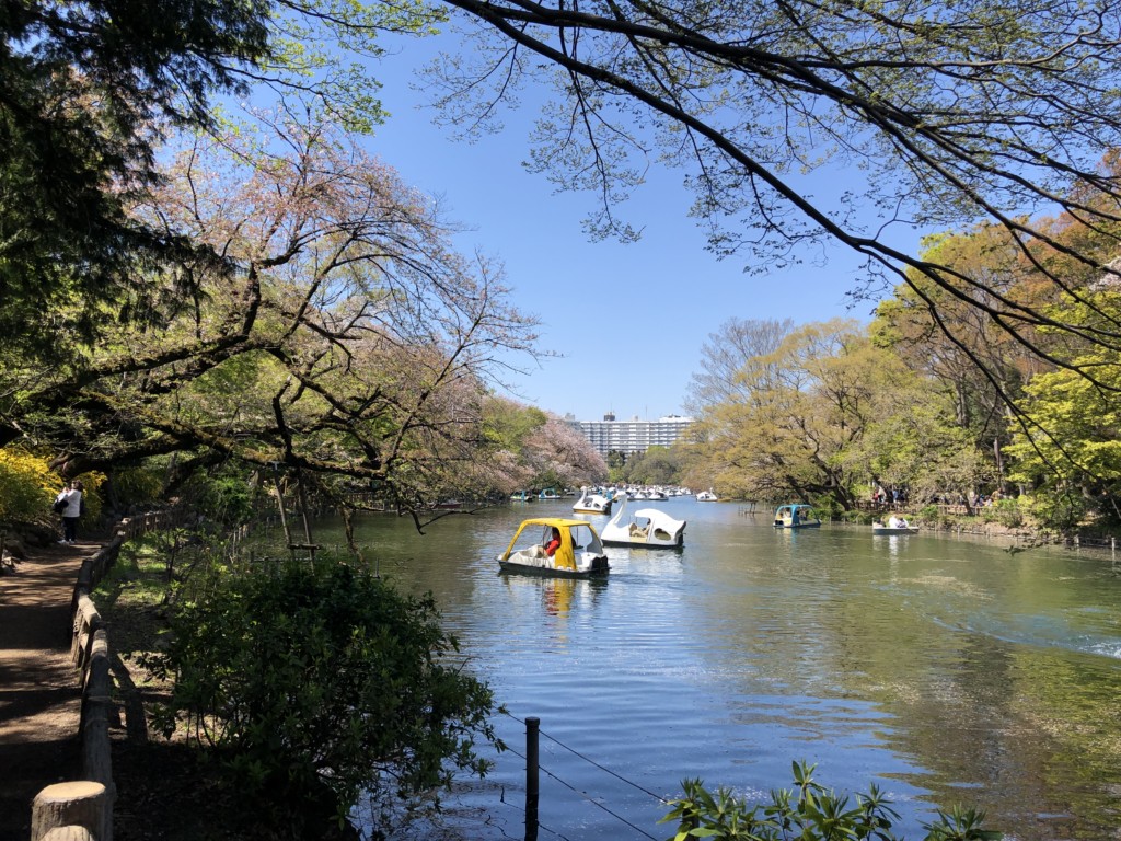 井の頭