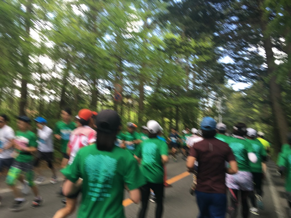 折返しのコース