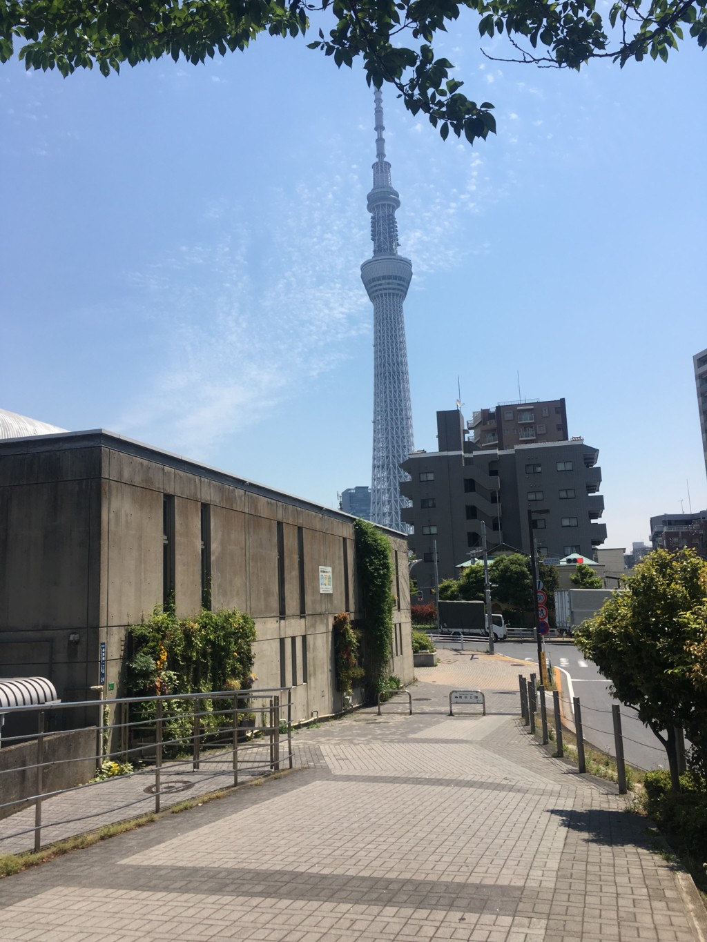目前のスカイツリー