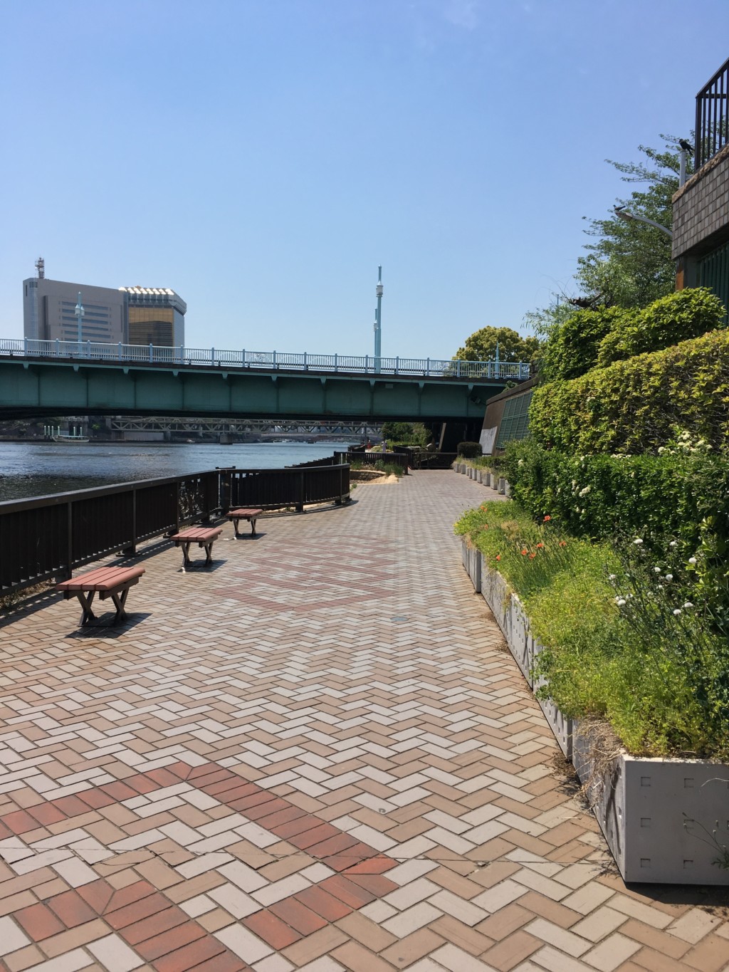 隅田川テラスのコース
