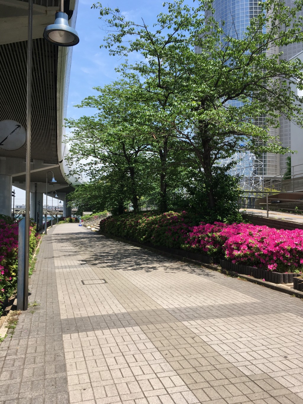スタート地点