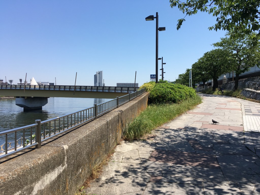 桜橋前の道