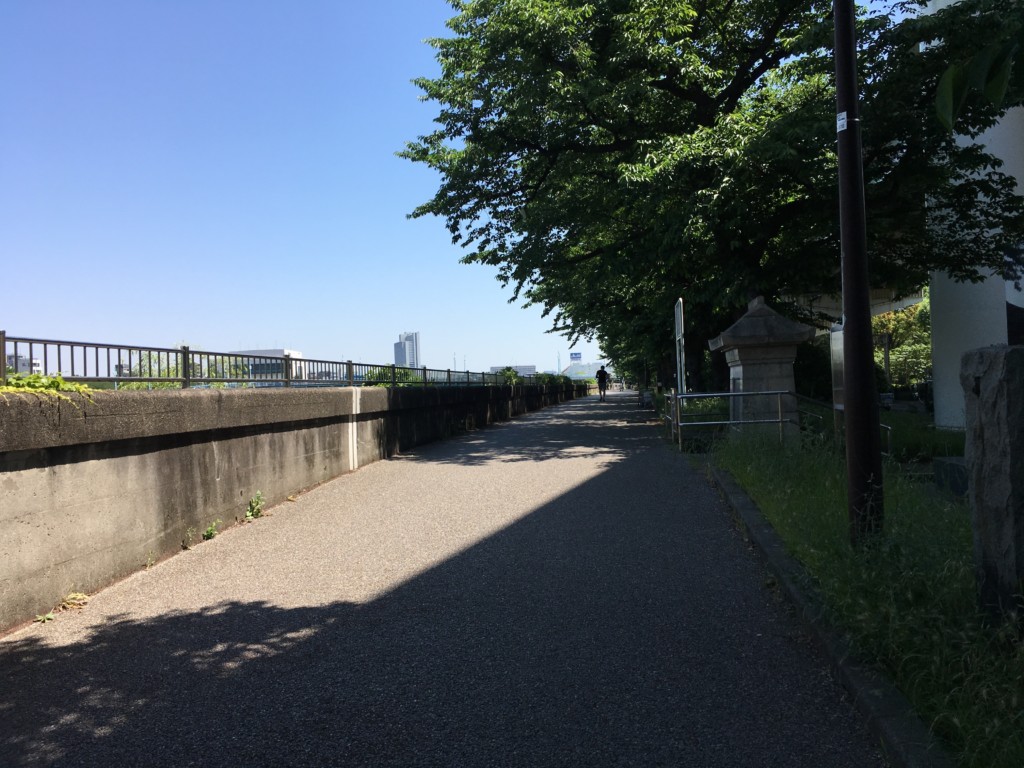 北へ進む道