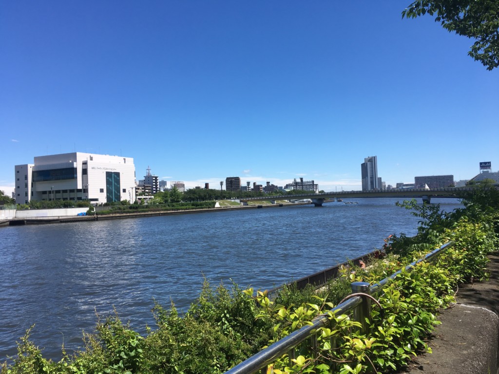 隅田川桜橋の手前地点
