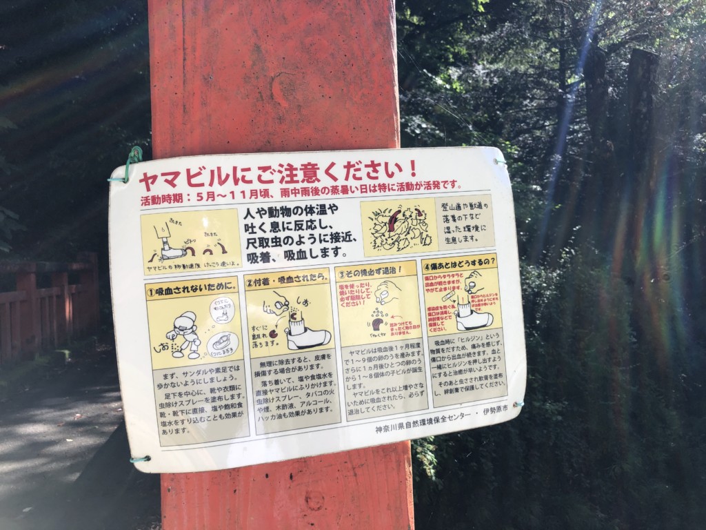 ヒル1