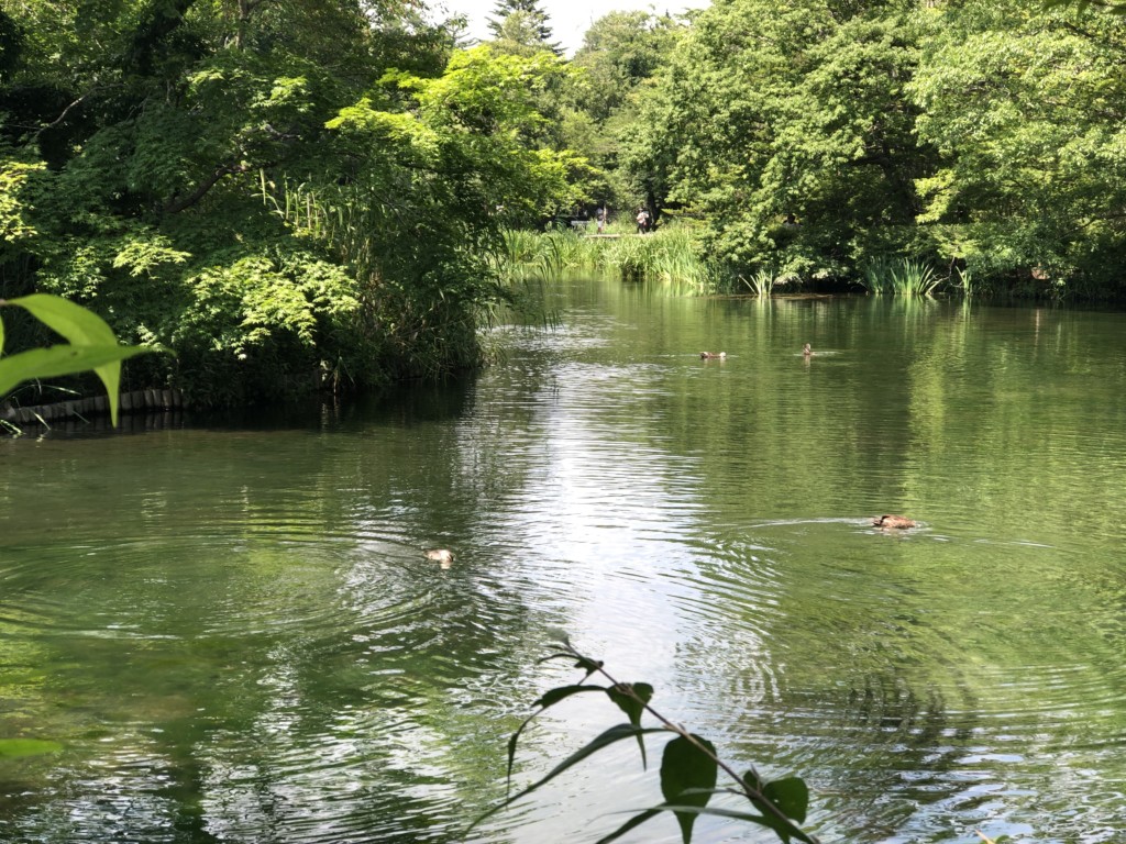 湖3