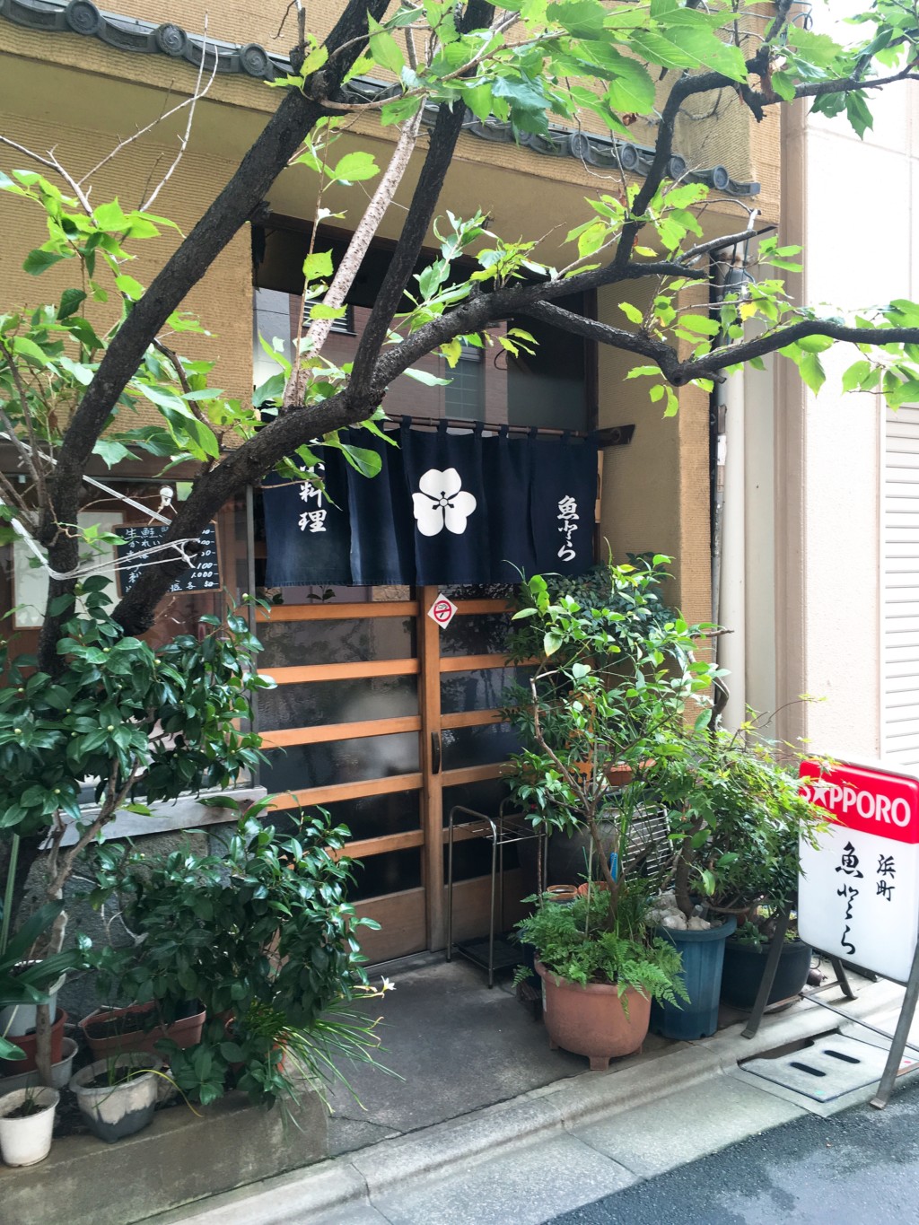 魚とらお店前