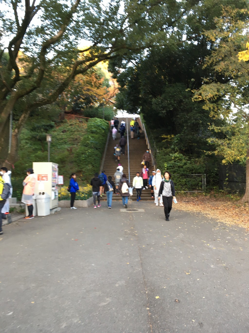 ランナーエリア階段